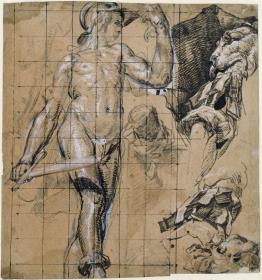 Perseus, Armstudien