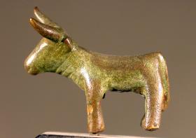 Stier