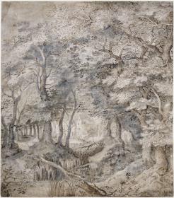 Waldlandschaft