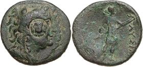 Lysimacheia