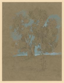 Baumstudie