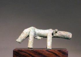 Rind (Stier)
