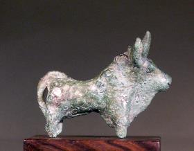 Rind (Stier)