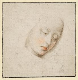 Madonnenhaupt (?)