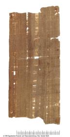 Aramäischer Papyrus mit der Antwort mit Memorandum des Statthalters von Judäa, Bagohi, an die Juden von Elephantine bzgl. Wiederaufbau des Tempels