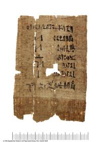 Hieratischer Papyrus mit einer Steuerforderung