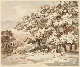 Landschaft mit Baumgruppe