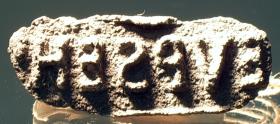Ovaler (oder ehemals rechteckiger bzw. sohlenförmiger?) Stempel mit lateinischer Inschrift: EVPSEHI