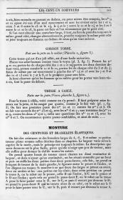 Les Cent-un coiffeurs de tous les pays: monture des ceintures et brasselets élastiques
