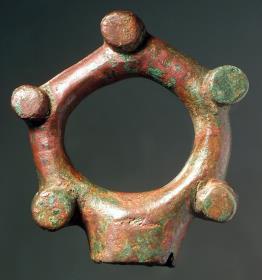 Ring mit fünf runden zylinderförmigen Vorsprüngen (Fechterring)