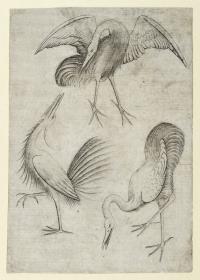 Vogel-Drei