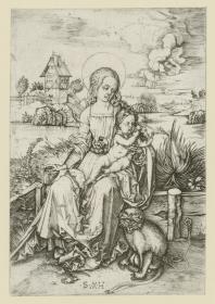 Madonna mit der Meerkatze