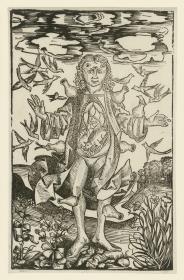 Allegorie der Unreinheit