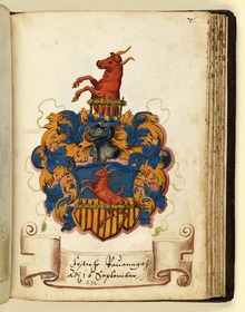 Stammbuch des Leonhard Hayder von Nürnberg: Wappen