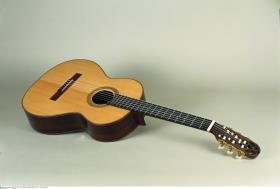 Gitarre