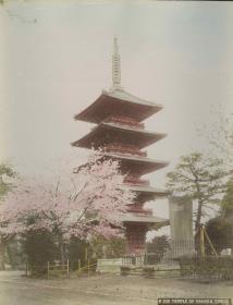 Die Pagode eines Tempels in Yanaka/Tokyo
