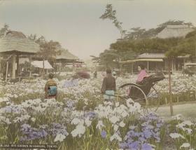 Ausflügler im Horikiri-Park Tôkyô