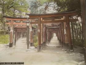 Torii-Gänge zum Fushimi-Inari Schrein 伏見稲荷大社のトリイ