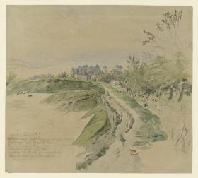 Landschaft mit ausgefahrenem Weg
