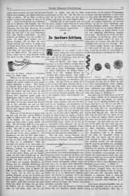 Deutsche Allgemeine Friseur-Zeitung: Zur Haarblumen-Anfertigung