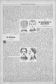 Deutsche Allgemeine Friseur-Zeitung: Haarflechtereien