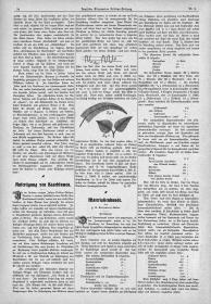 Deutsche Allgemeine Friseur-Zeitung: Anfertigung von Haarblumen