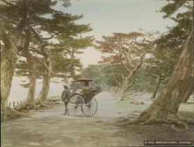 "MAIKONOHAMA, BANSHU"