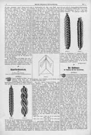 Deutsche Allgemeine Friseur-Zeitung: Haarflechtereien: Flechtmuster