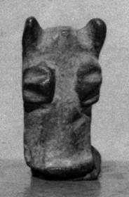 Roher Pferde(?)kopf