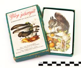 Pilze jederzeit