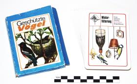 Geschützte Vögel