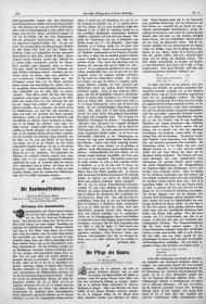 Deutsche Allgemeine Friseur-Zeitung: Die Haarkunstflechterei: Damenuhrschnur