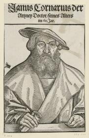 Bildnis des Arztes Janus Cornarius