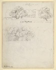 Brücke mit Baumgruppe und Häusern, Baumgruppe