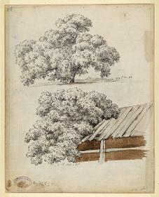 Baumstudie und Stall an einem Baum