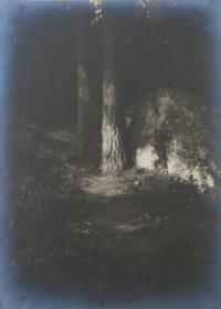 Wald