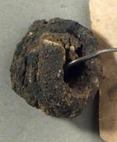 Spiralohrring