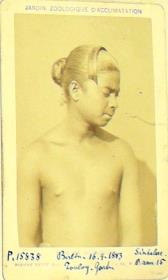 Singhalese