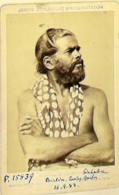 Singhalese