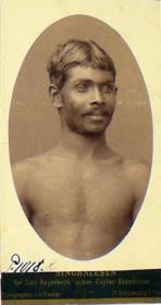 Singhalesen der Carl Hagenbeck'schen Ceylon Expedition