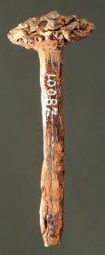 Eisennagel; wohl von einem Holzsarg aus dem römischen Ehrengrab
