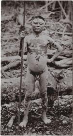 "Ahuishiri oder Mandano oder Iquitos vom Rio Napo" (OT)