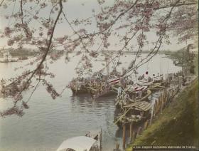 Uferszene mit Booten/KIrschblüte