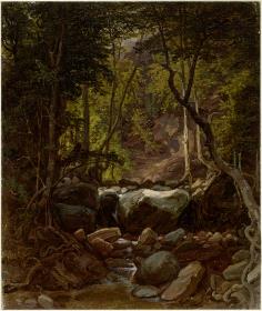 Waldschlucht. Quebrada de Laguaira
