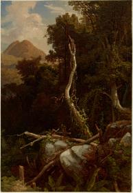 Westliche Spitzen der Silla von der Quebrada in Galipan bei Laguaira