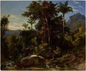 Wald mit Bach bei der Hacienda Campanero bei Puerto Cabello