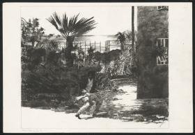 Die Leute von Port Madeleine. Dorfgeschichten aus der Provence  Die kleine Kasbah  S. 96/97
