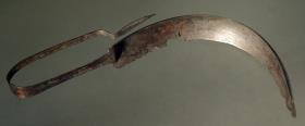 Strigilis