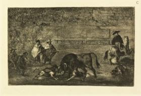 Echan perros al toro / Die Hunde werden losgelassen (Tauromaquia C)