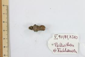 Fibelfragment